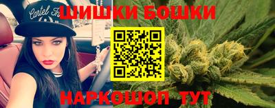 гидропоника Заводоуковск